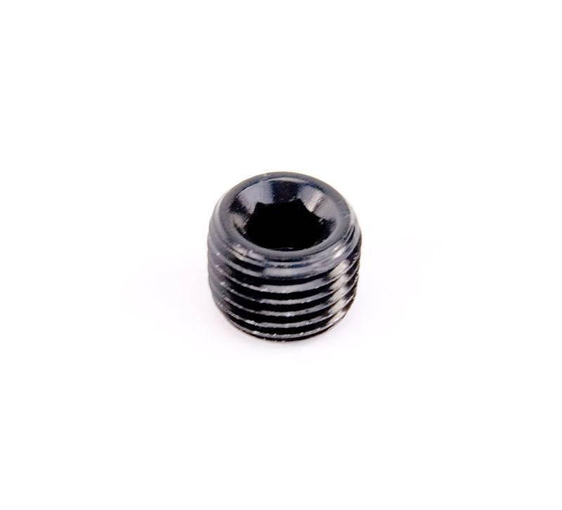 Nitrous Outlet 1/4" NPT Hex Plug - 00-01003