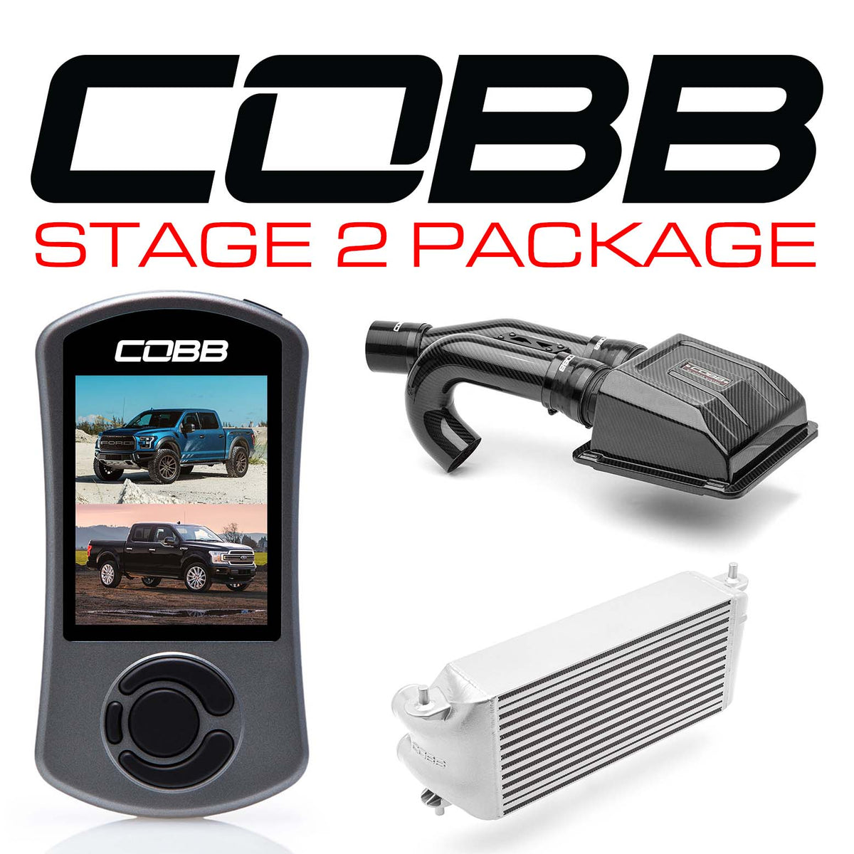 Cobb Ford F-150 Ecoboost Raptor/Ltd. w/TCM Stg 2 Redline CF Pwr Pkg - Silver (Factory Loc. I/C)