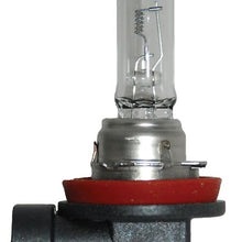 Hella - H11 24V