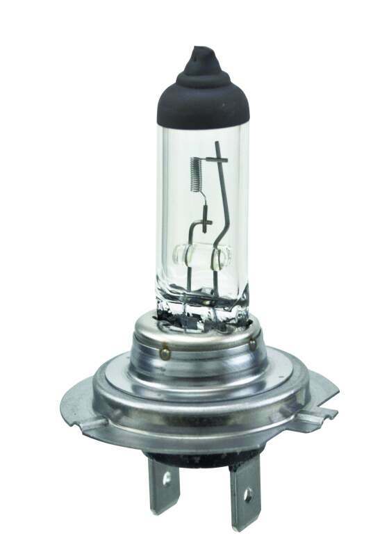 Hella H7 Standard Series Halogen Light Bulb - H7