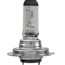 Hella - H7 24V LL