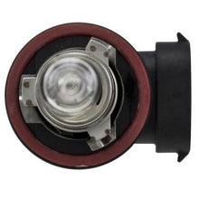 Hella H9 2.0TB Performance Series Halogen Light Bulb - H9 2.0TB