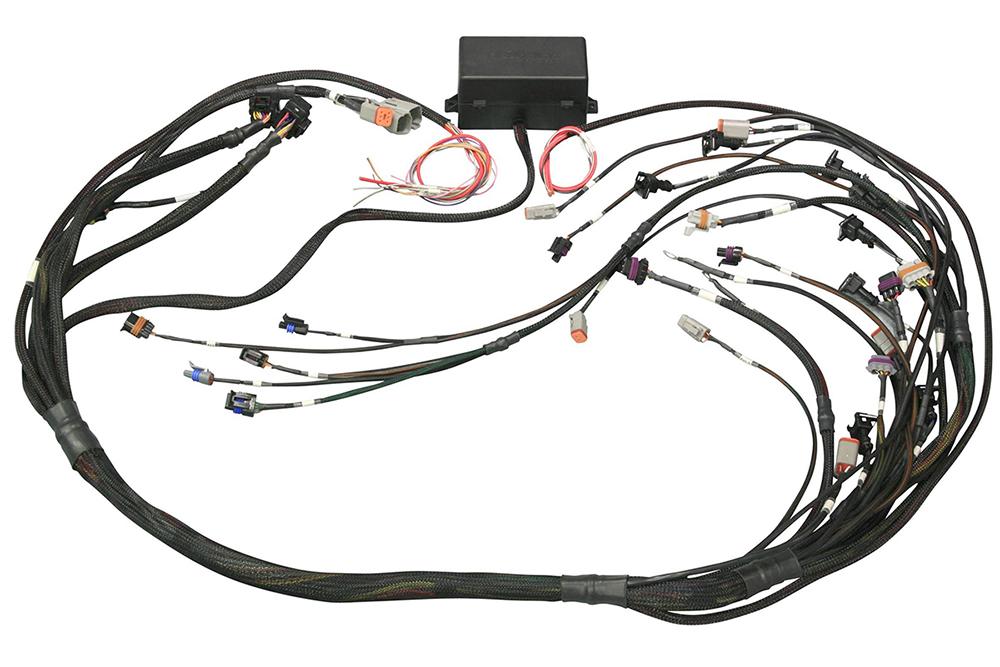 Haltech Gm Gen Iii Ls1 &Amp; Ls6 Terminated Ignition Harness Only - HT-045657