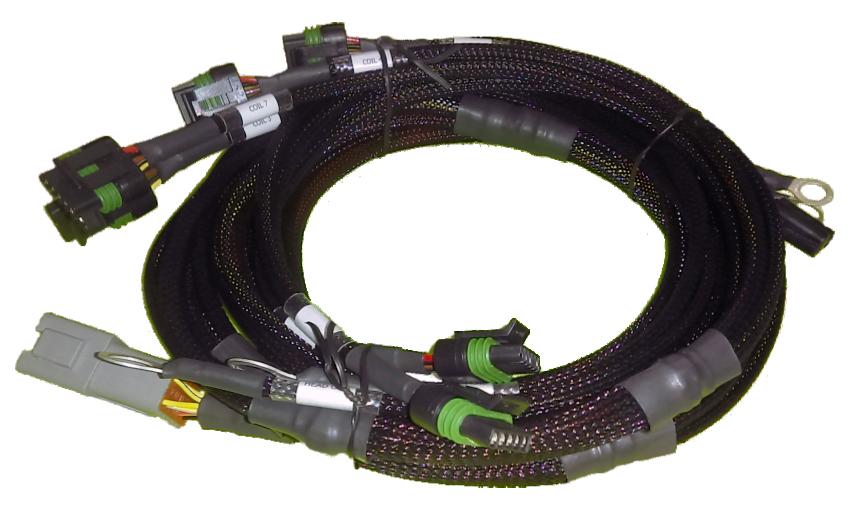 Haltech V8 Ford Small/Big Block 8 x Individual High Output IGN-1A Inductive Coil Harness - HT-130311