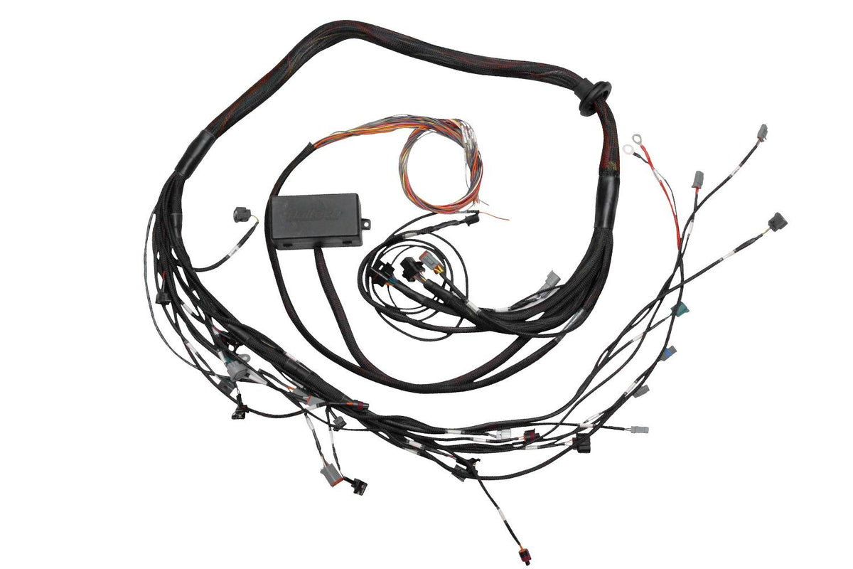 Haltech Elite 2000/2500 Toyota 2Jz Term Main Engine Harness Only - HT-130318