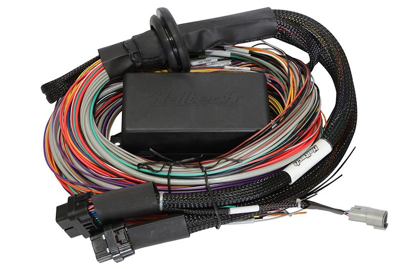 Haltech Elite 1500 Premium Universal Wire-in Harness - HT-140904