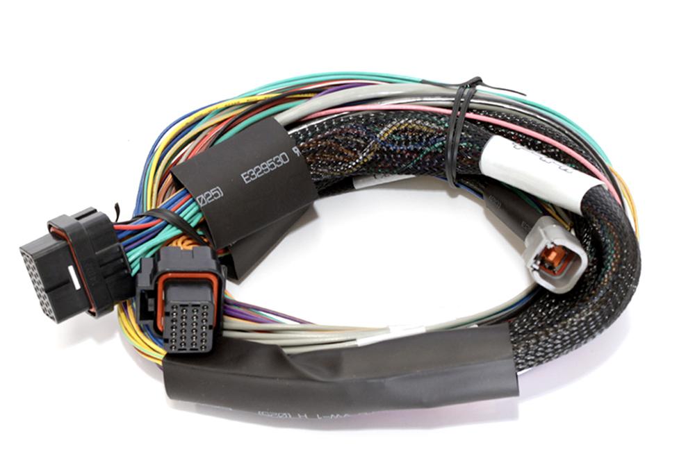 Haltech Elite 2500 & 2500 T Basic Universal Wire-in Harness - HT-141302