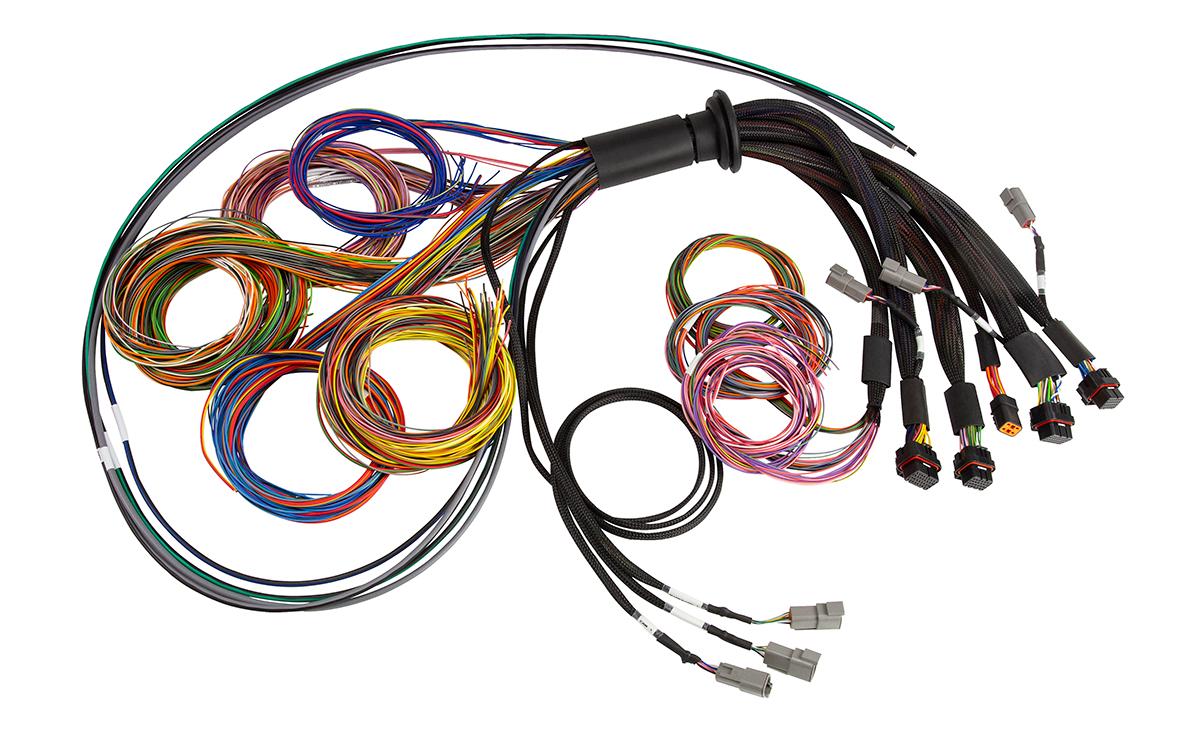 Haltech Nexus R5 Basic Universal Wire-In Harness- 5M (16') - HT-185201