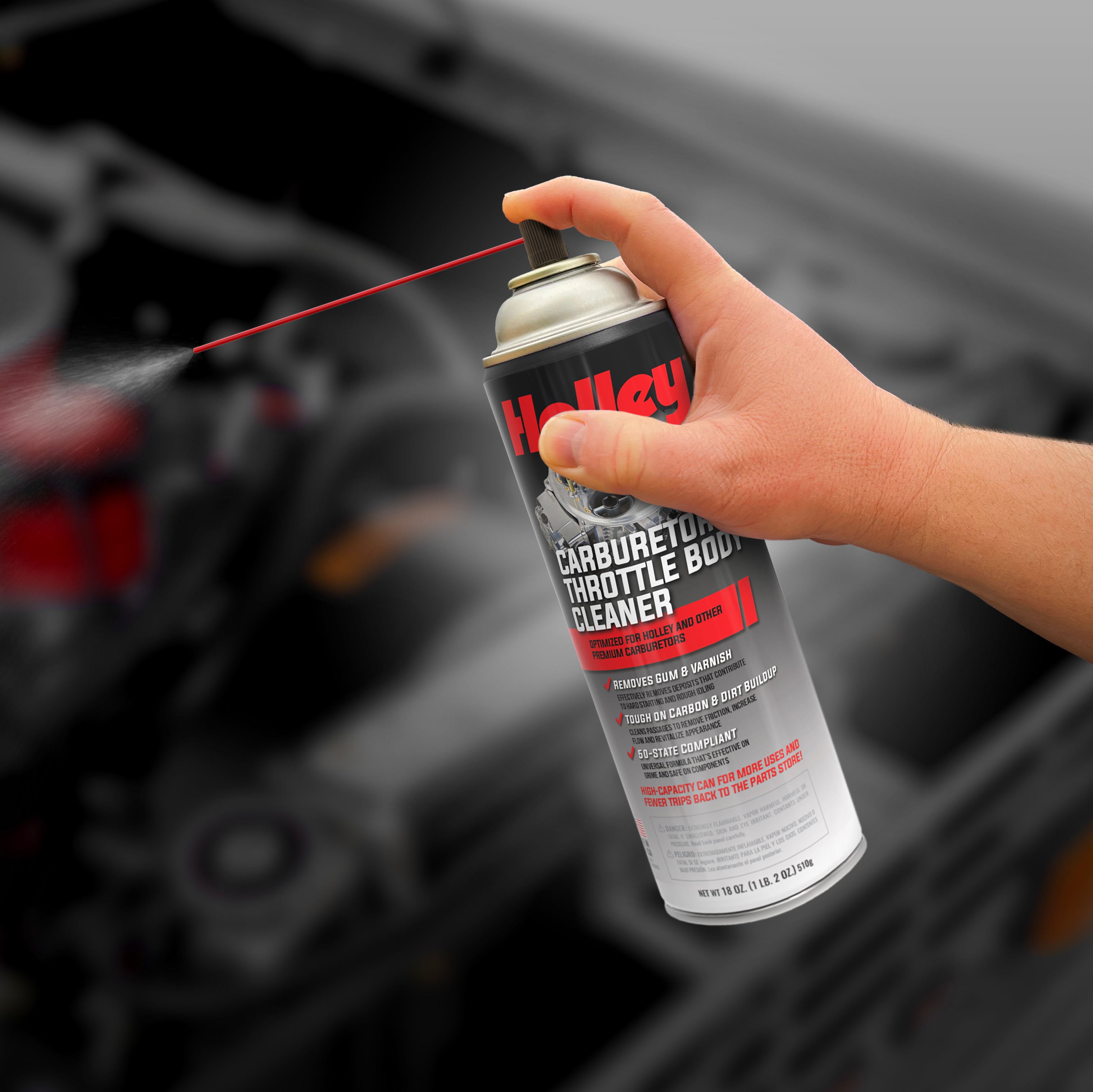 Holley_CarbCleaner_Image4_120-HLYCC-18.jpg