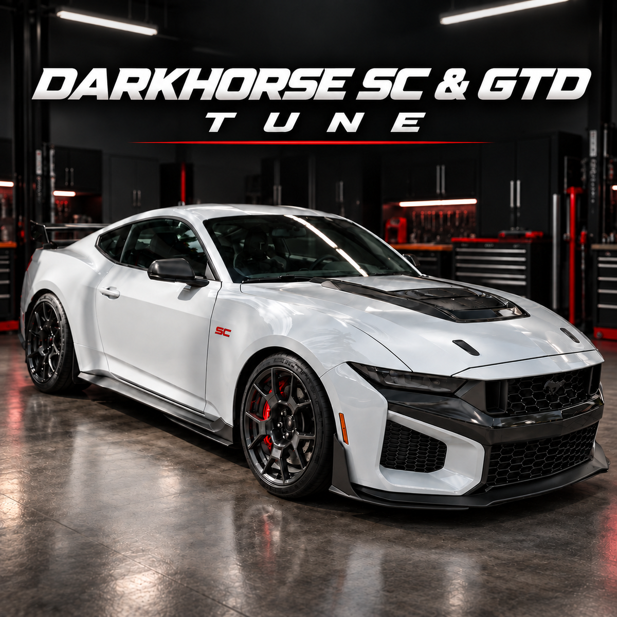 Shoemaker Performance Darkhorse SC / GTD Tune