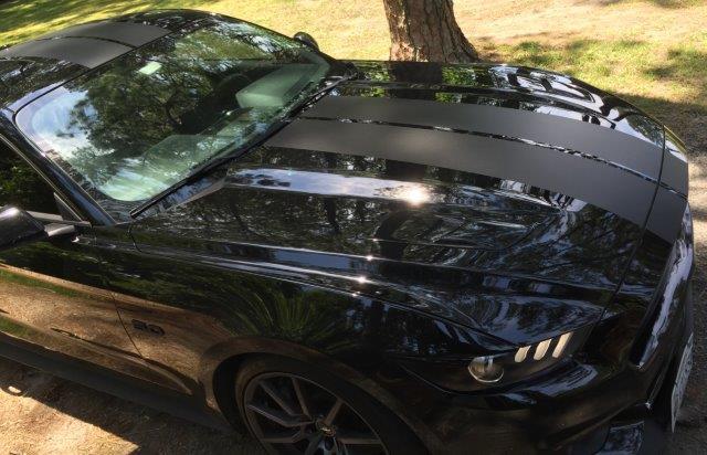 Anchor Room GT350 Precut 9" Racing Stripe Kit - With Satellite Antenna , Gloss Black(2016-2020 GT350) - 16FS_RSWSX-38