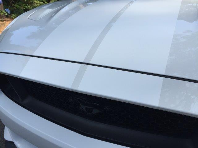 Anchor Room GT350 Precut 9" Racing Stripe Kit - With Satellite Antenna , Matte White(2016-2020 GT350) - 16FS_RSWSX-57