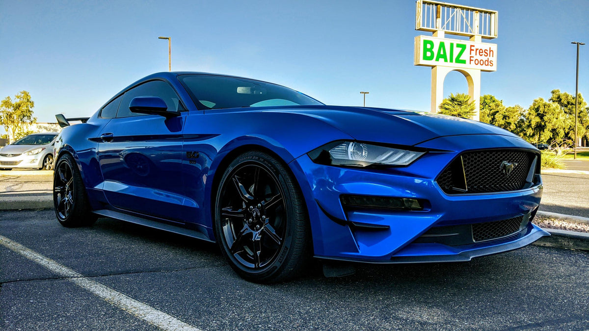 Anchor Room Front & Rear Lens Vinyl Tint Kit for EURO/INT - (2015-2017 Mustangs & 2016-2020 GT350) - 18FM_FR_HACG