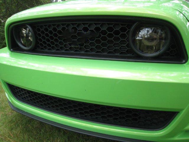 Anchor Room Fog Light Lens Colored Vinyl Tint (2013-2014 Mustang GT) - Green Tint - 13FM_FL_G