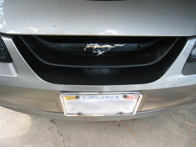 Anchor Room Front Grille Black Out Panel (1999-2004 Mustang GT/V6) - Black - Carbon Fiber  - 99FM_FGB_CF