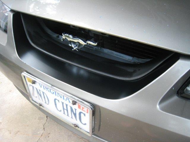 Anchor Room Front Grille Black Out Panel (1999-2004 Mustang GT/V6) - Black - Carbon Fiber  - 99FM_FGB_CF