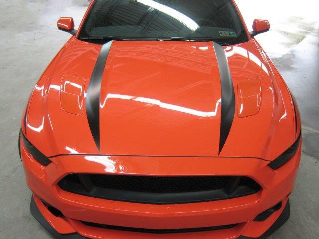 Anchor Room Hood Line Accents (2015-2017 Mustang) - Gloss White - 15FM_HLS_GW