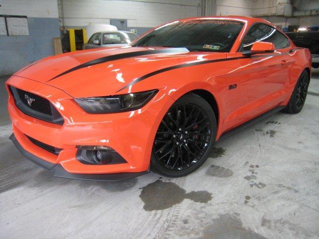 Anchor Room Body Line Accents (2015-2017 Mustang) - Matte White - 15FM_BLA_MW