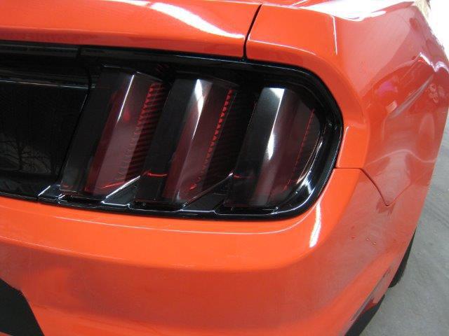 Anchor Room Tail Light Lens Vinyl Tint (2015-2017 Mustang) - Standard  - 15FM_T