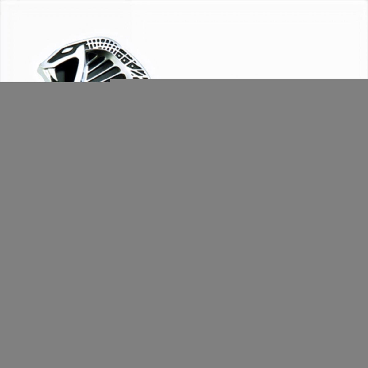 Ford Performance 07-09 Shelby GT500 Snake Fender Emblems (2)