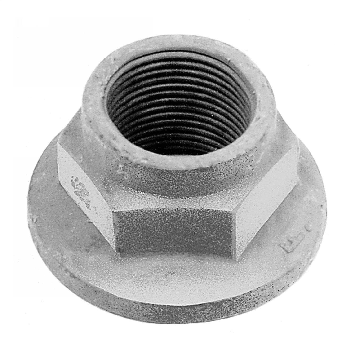 Ford Performance Universal Pinion Nut - M-4213-A