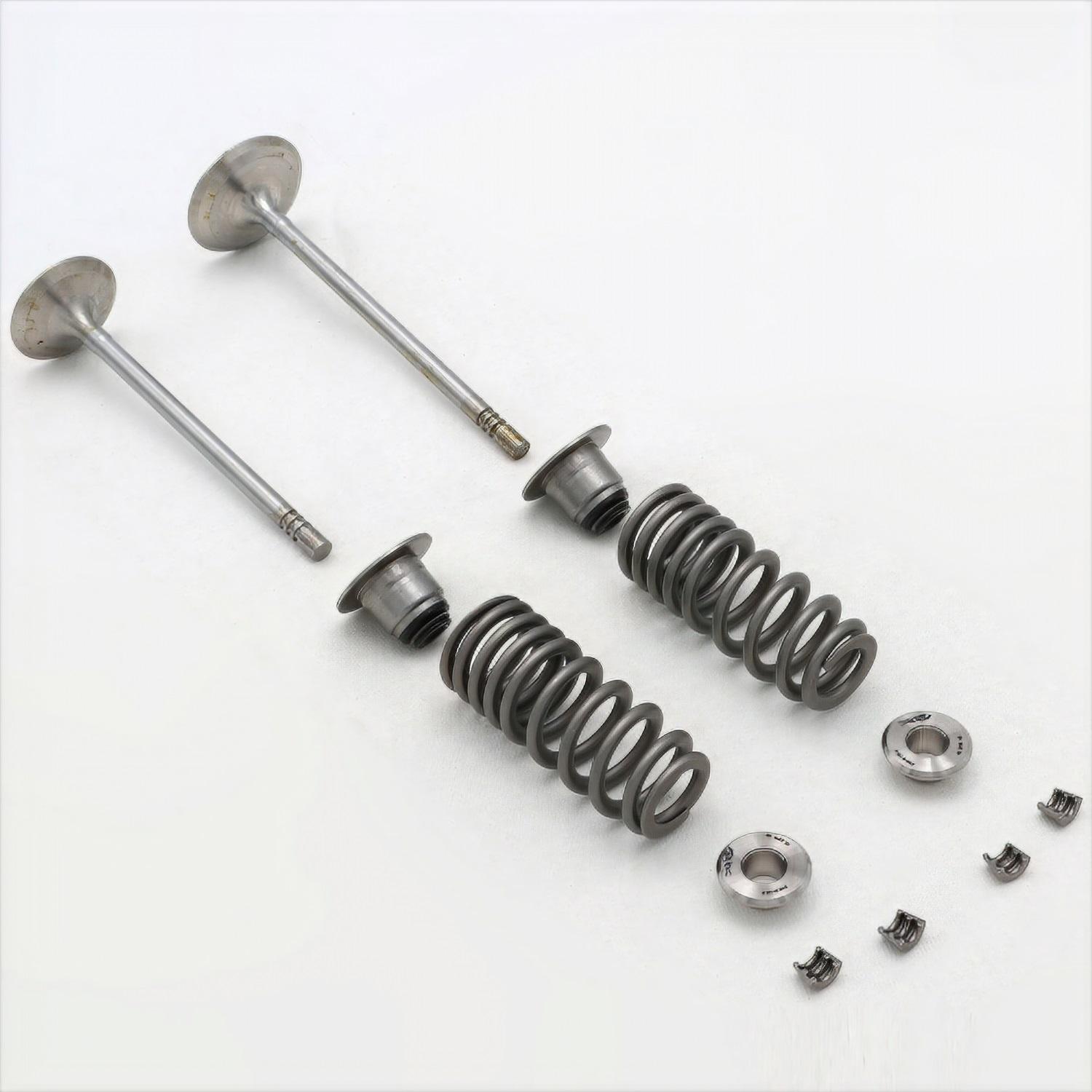 Ford Performance Valve Train Kit - M-6505-FP350S