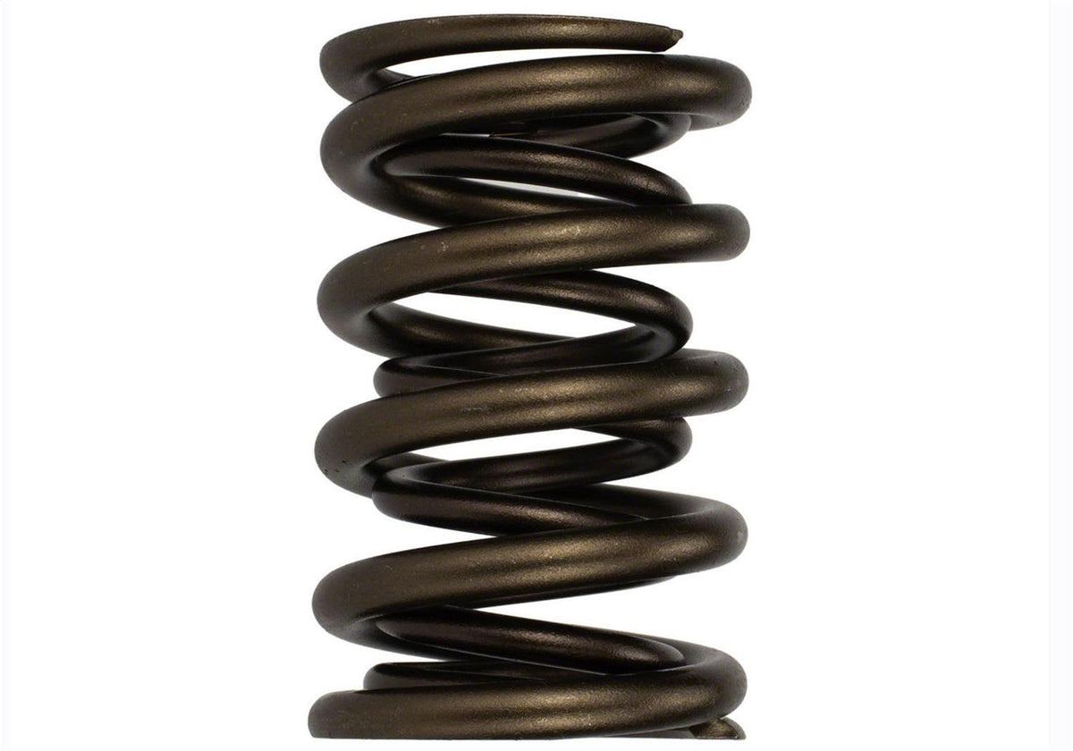 Ford Performance Valve Spring Kit - M-6513-17341