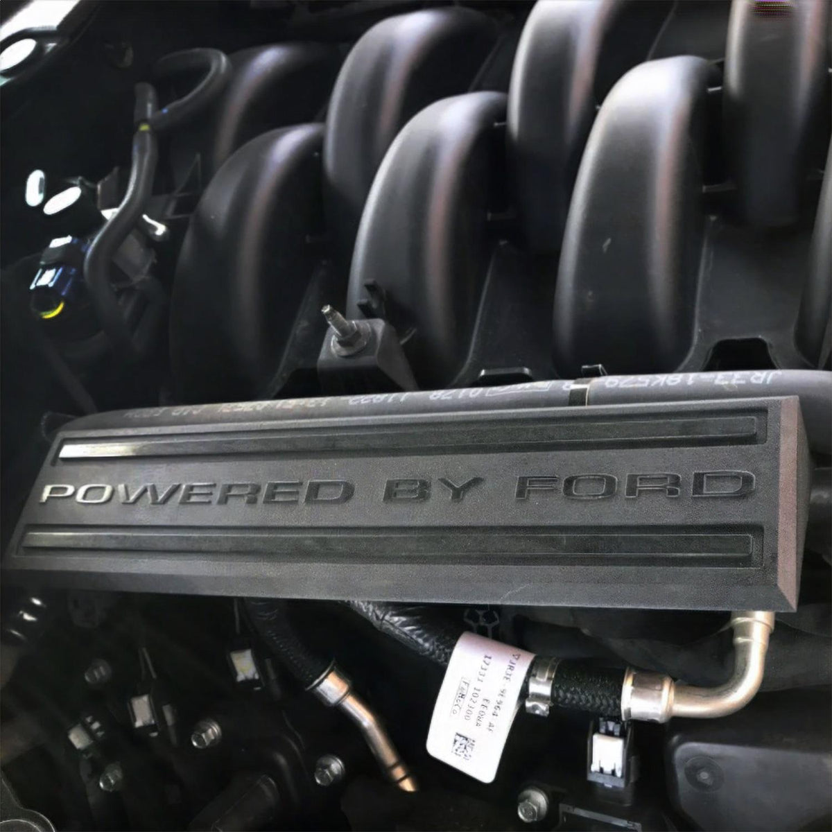 Ford Performance "Powered By Ford" Engine Dress Up Kit (2018-2023 5.0L Coyote) - M-9680-M50BA