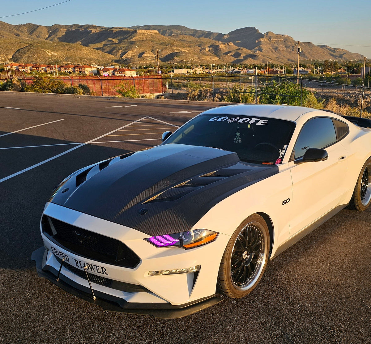 MAZ Muscle Viper AMS Hood (2015-2023 Ford Mustang)