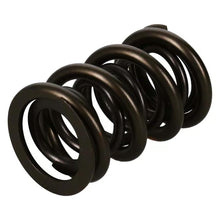 Manley Valve Spring, Spring-1.650 Double - 221454-1