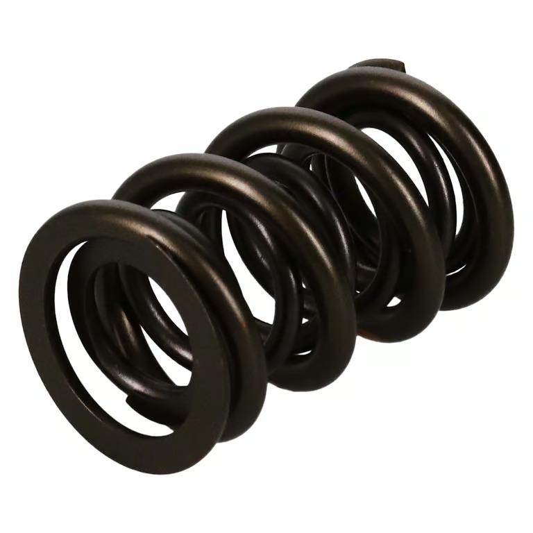 Manley Valve Spring, Spring-1.650 Double - 221454-1