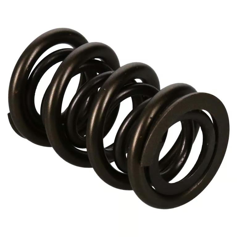 Manley Valve Spring, Spring-1.650 Double - 221454-1