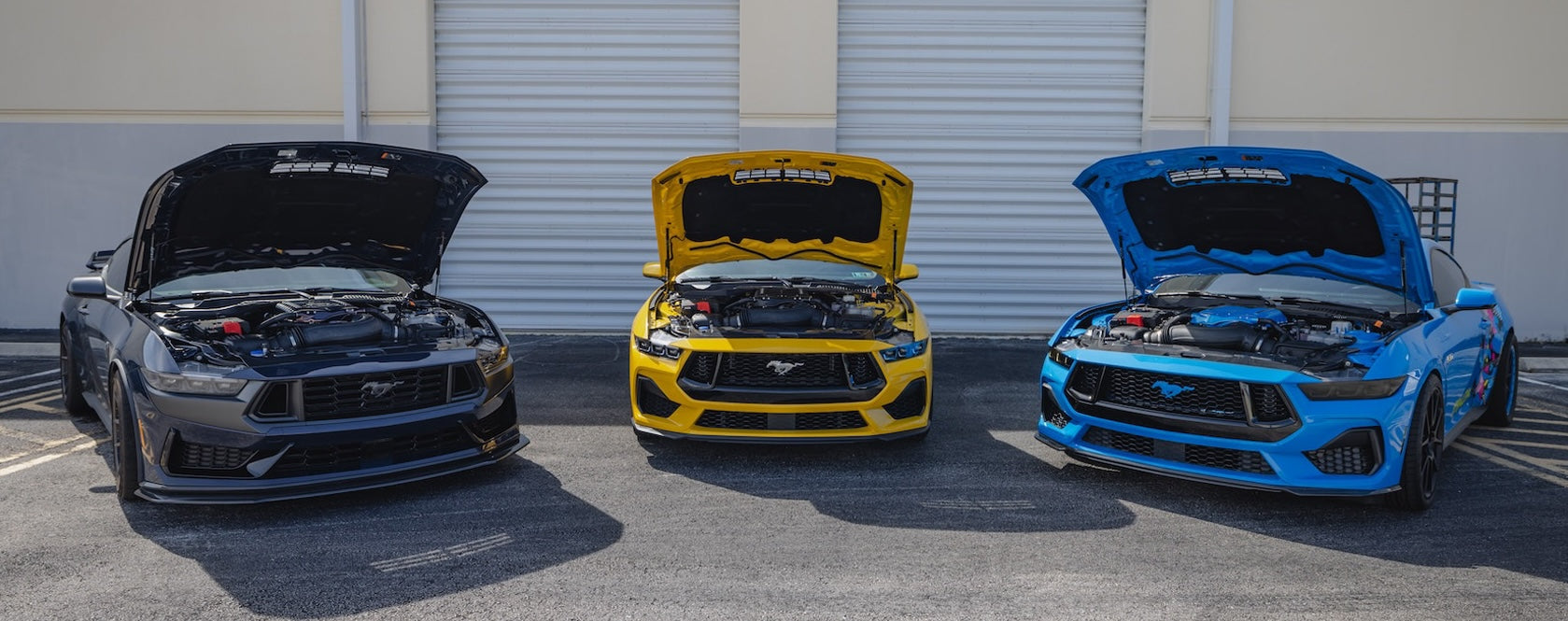 Three Whipple supercharged S650 Mustangs