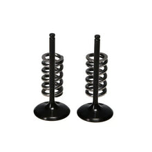 ProX Racing Parts Steel Intake Valve/Spring Kit Kx450F '06-08 (2006-2008 KX450F) - 28.SIS4406-2