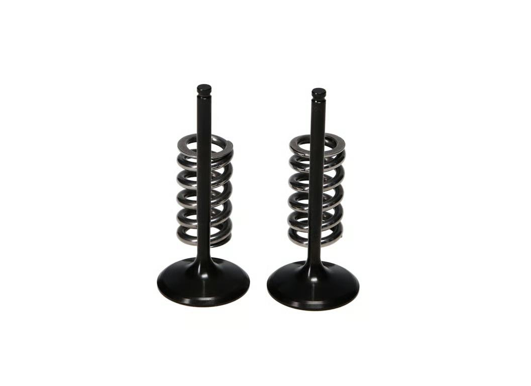 ProX Racing Parts Prox Steel Ex. Valve/Spring Kit Kx250F'04-16 + Rm-Z250'04-06 (2004-2016 KX250F, RMZ250) - 28.SES4335-1