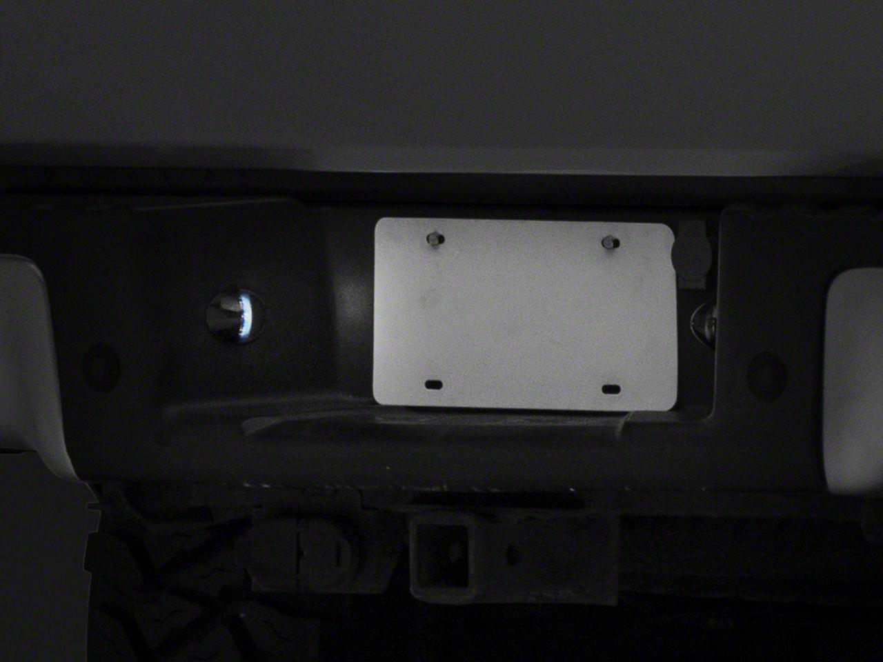 Raxiom Axial Series Led License Plate Light Bulb (2001-2014 F-150) - T543147