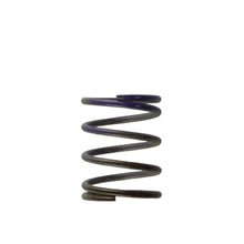 Turbosmart 2011 Wg38/4045 7Psi Middle Spring Brown/Purple - TS-0505-2003