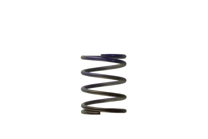 Turbosmart 2011 Wg38/4045 7Psi Middle Spring Brown/Purple - TS-0505-2003