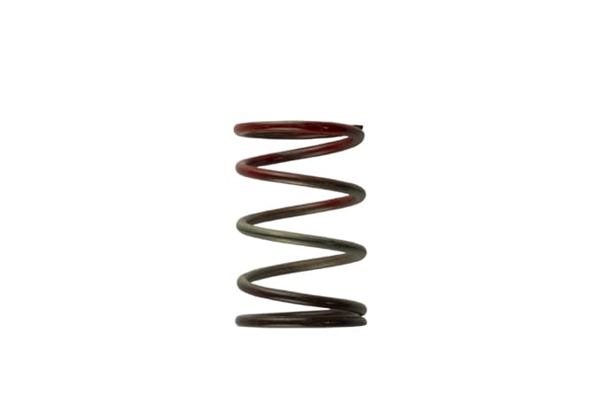 Turbosmart 2011 Wg38/40/45 11Psi Middle Spring Brown/Red - TS-0505-2004