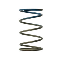 Turbosmart 2011 Wg38/4045 10Psi Outer Spring Brown/Blue - TS-0505-2005