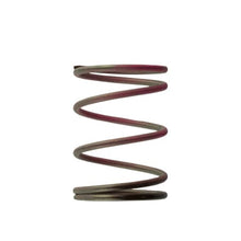 Turbosmart 2011 Wg38/40/45 7Psi Outer Spring Brown/Pink - TS-0505-2006