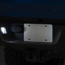 Raxiom Axial Series Led License Plate Bulbs (2016-2019 Tacoma) - TT6701