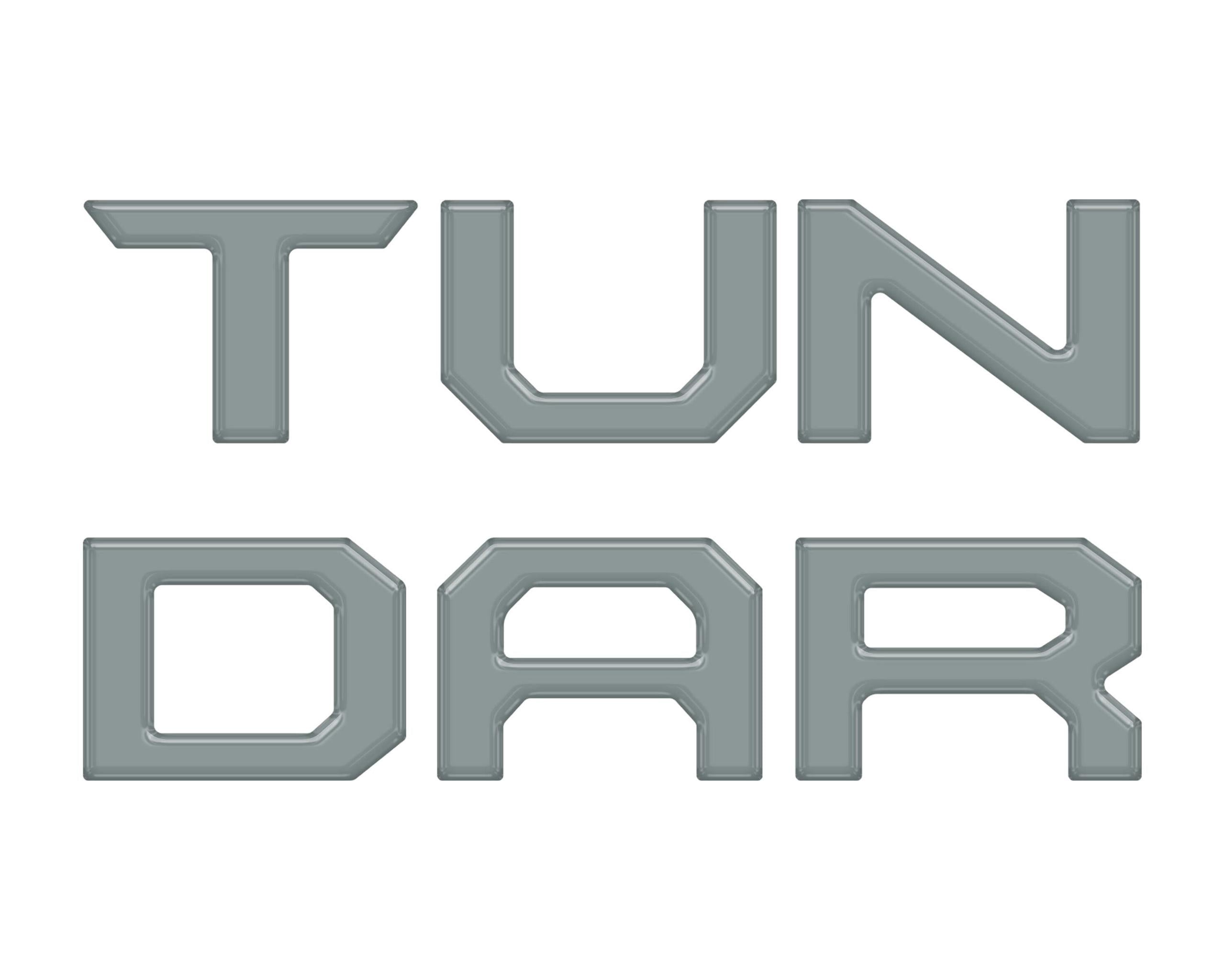 TUFSKINZ TUNDRA Tailgate Letter Inserts (2014-2021 Tundra) - TUN001-LNR-G