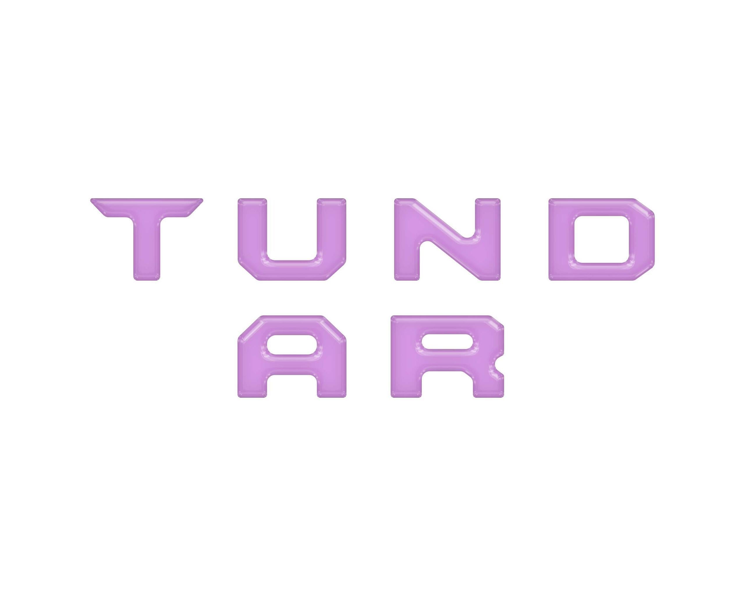 TUFSKINZ 3RD Brakelight Letter Inserts (2022-2024 Tundra) - TUN085-PUR-G