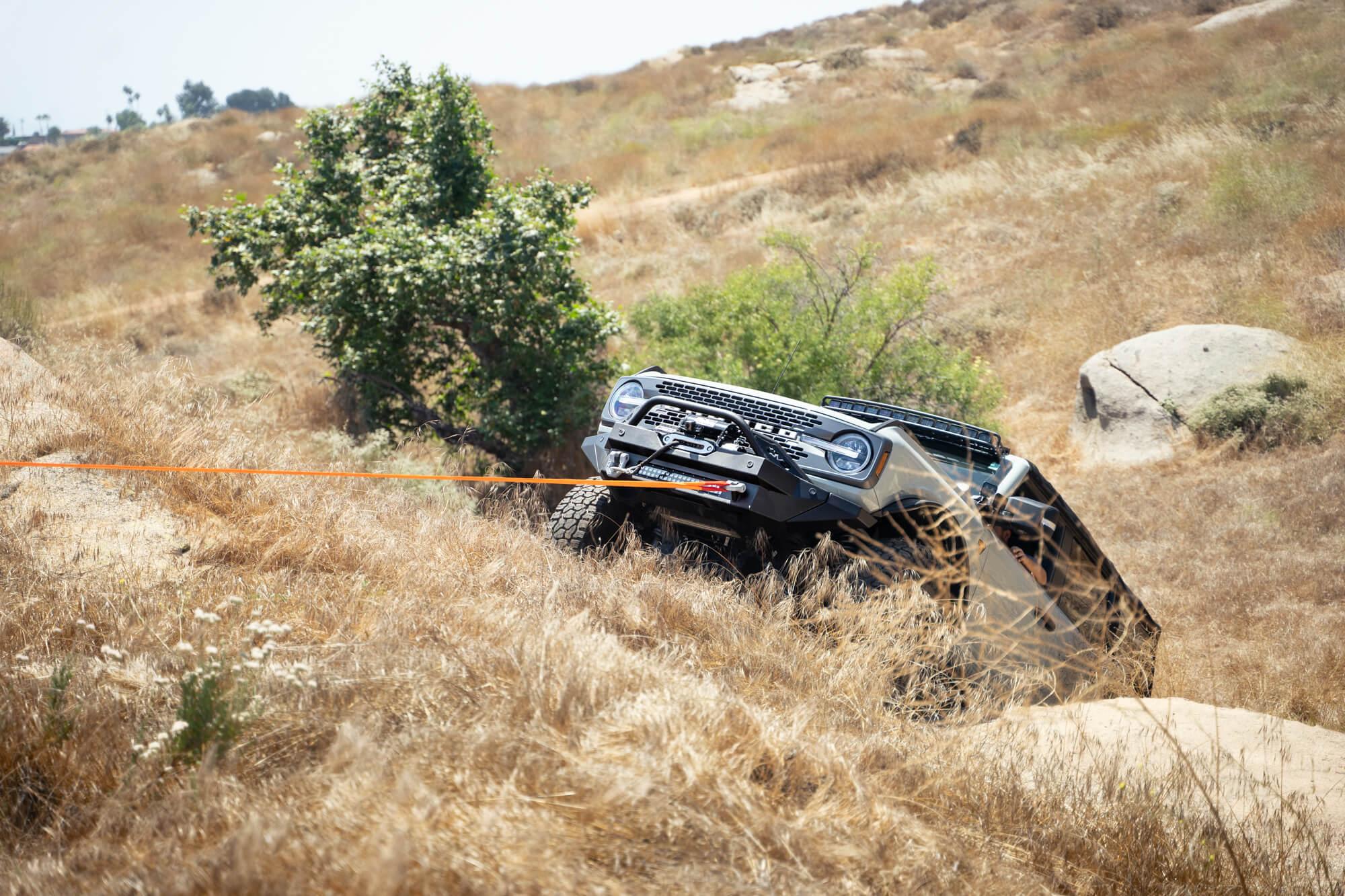 DV8 Offroad Black Dv8 Elite Series D-Rings (Pair) - UNSK-01BL