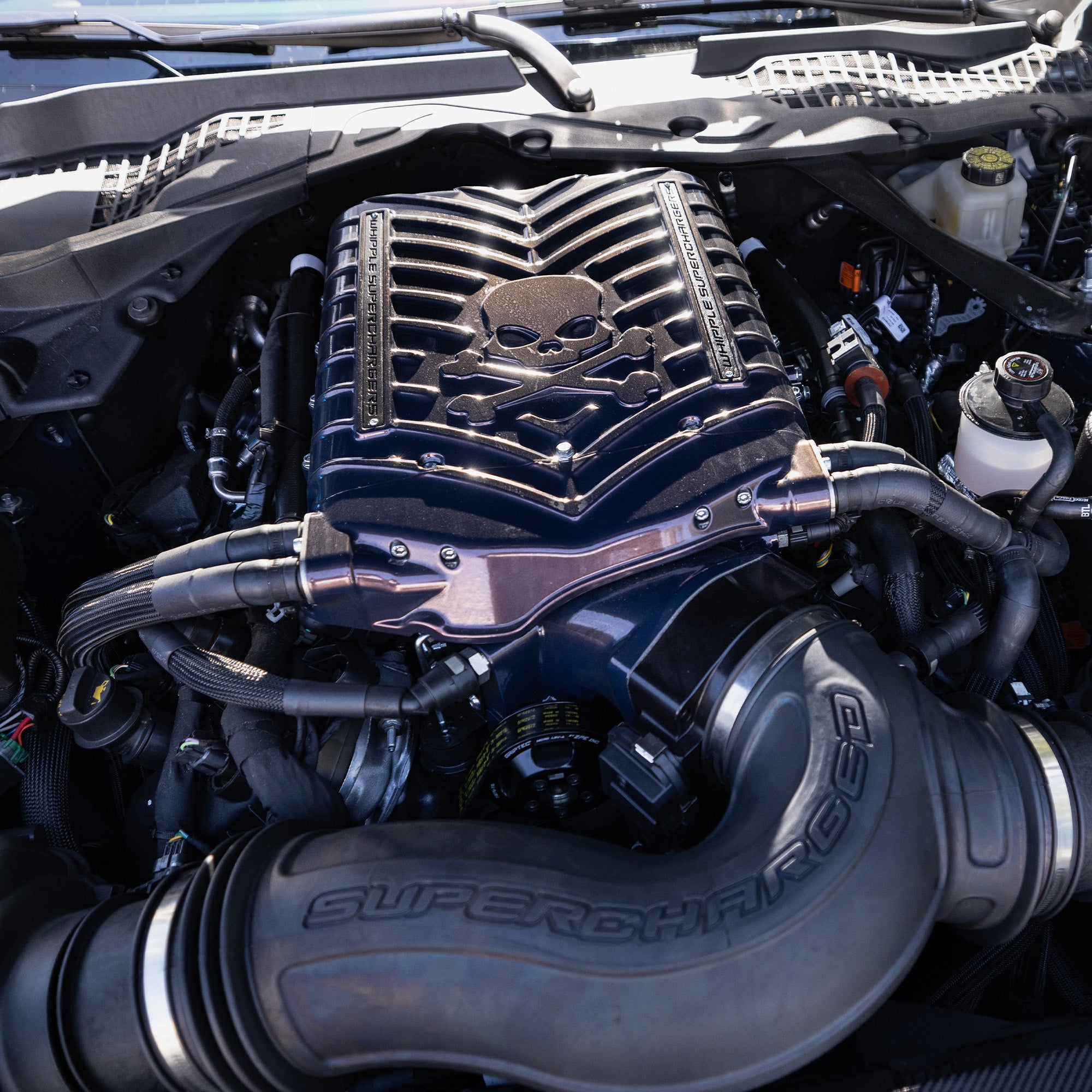 A close-up of a Mustang Dark Horse engine bay featuring a Lethal Edition Gen.6, 3.0L Whipple Supercharger with their high flow intake pipe with 'SUPERCHARGED' embossed on it, a ribbed black engine cover with a skull emblem, and various black hoses and components.