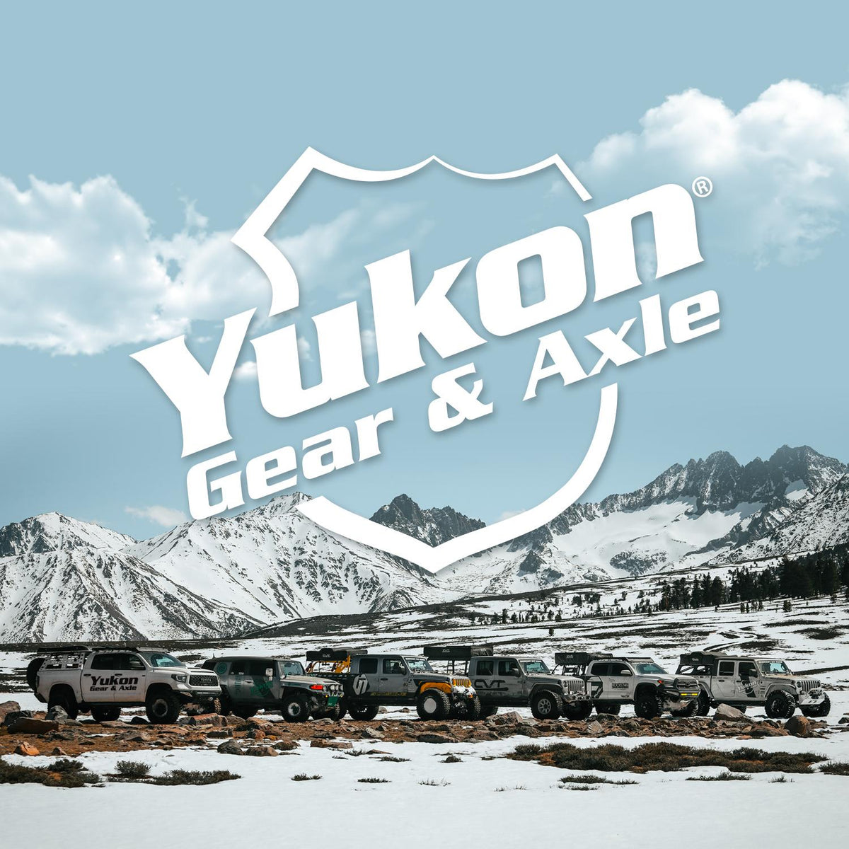 Yukon Gear & Axle Yukon Pinion Setup Bearing for Dana 80 and AAM 11.5” Differentials - YT SB-NP516549