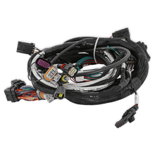 Holley LT4 Engine Main Harness - 558-130