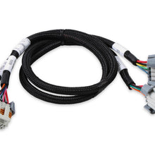 Holley LS Ignition Coil Harness - 558-326