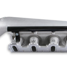 Holley Holley Modular Lo-Ram EFI Manifold LS1/2/6.  - 300-620